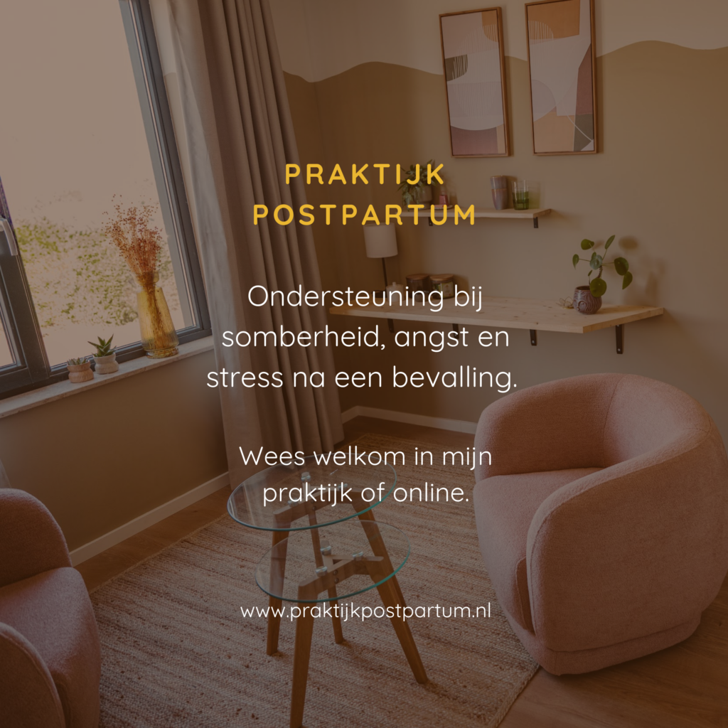 Praktijk Postpartum
